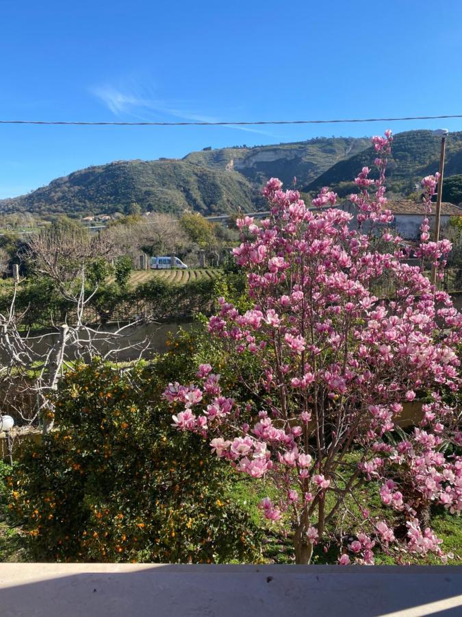 Villa Saturno โตรเปอา ภายนอก รูปภาพ